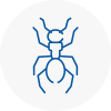 Ant Removals In Seaham Harbour