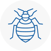 Bed Bug Extermination In Seaham Harbour