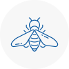 Bee Nest Removal Seaham Harbour